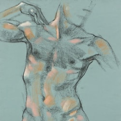 Nude • 24 x 18 inches, charcoal and pastel on toned paper